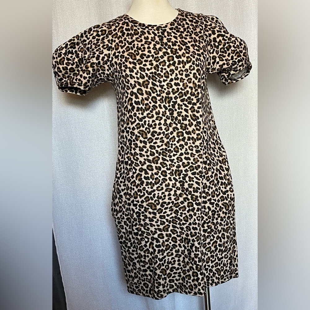 Velvet by Graham & Spencer leopard dress - Picture 2 of 6